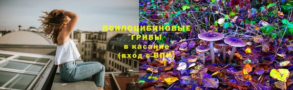 твердый Белокуриха
